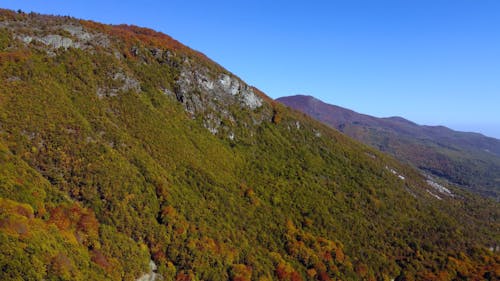 Aerial Shot of a Landscape