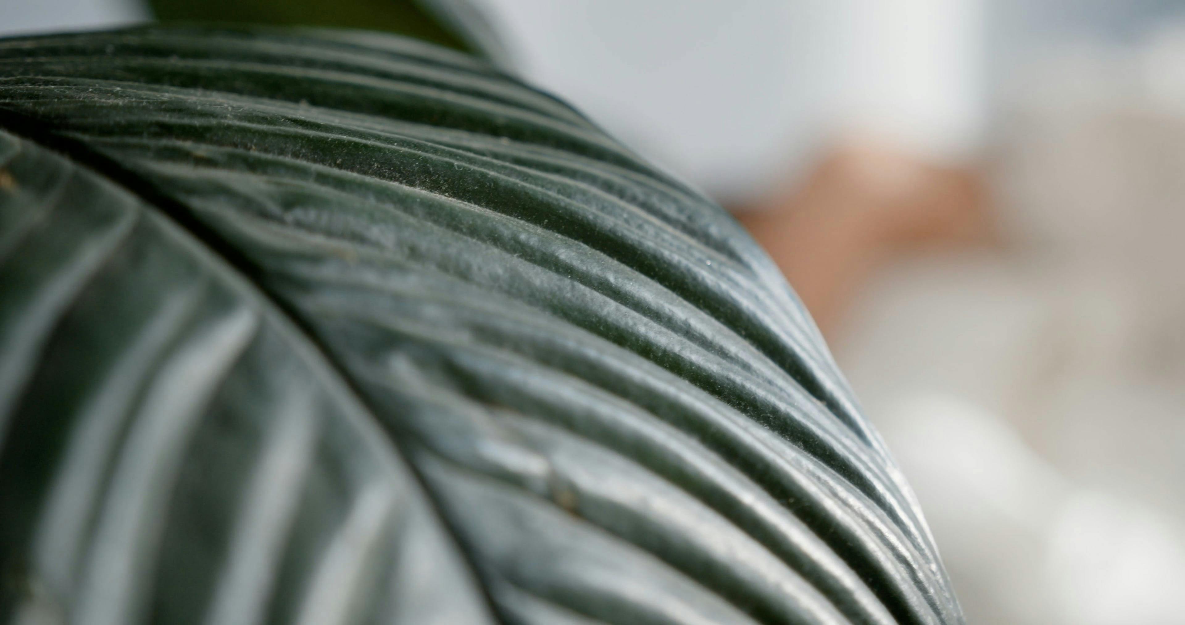 Easy Rest Videos Download The BEST Free 4k Stock Video Footage Easy