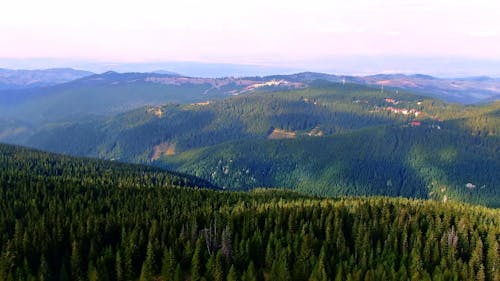 Aerial Shot of a Landscape