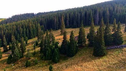 Landscape View Video Scenic View Of Landscape Free Stock Video Footage, Royalty-Free 4K & HD ...