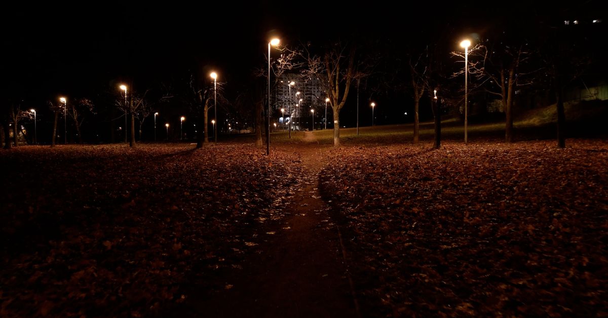 Path in Park at Night Free Stock Video Footage, Royalty-Free 4K & HD ...
