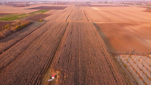 Aerial Footage of Agricultural Fields