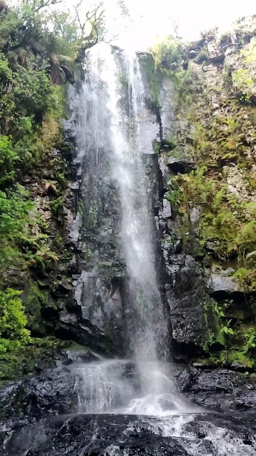 Cascading Waterfalls in a River