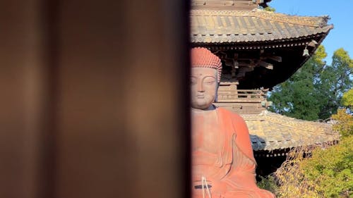 Buddha Statue and Pagoda