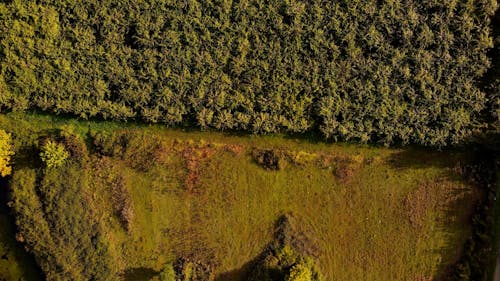 Drone Footage of Agricultural Fields 