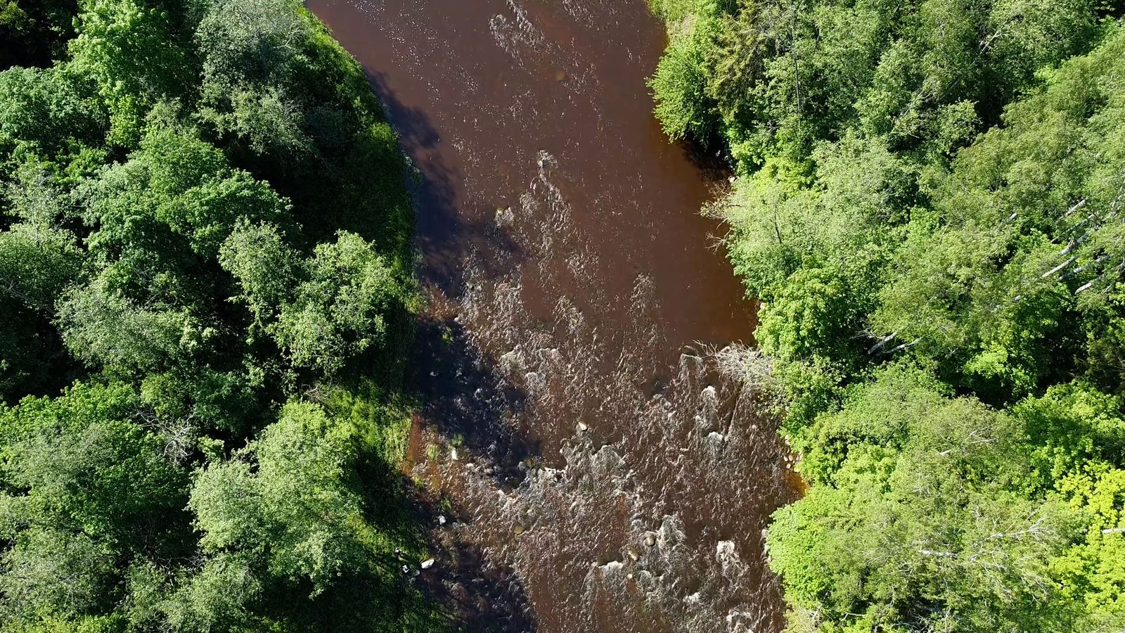Aerial view of a river in the forest Free Stock Video Footage, Royalty ...