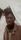 african man