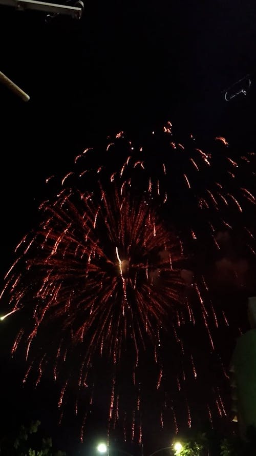 Fireworks Exploding in Sky