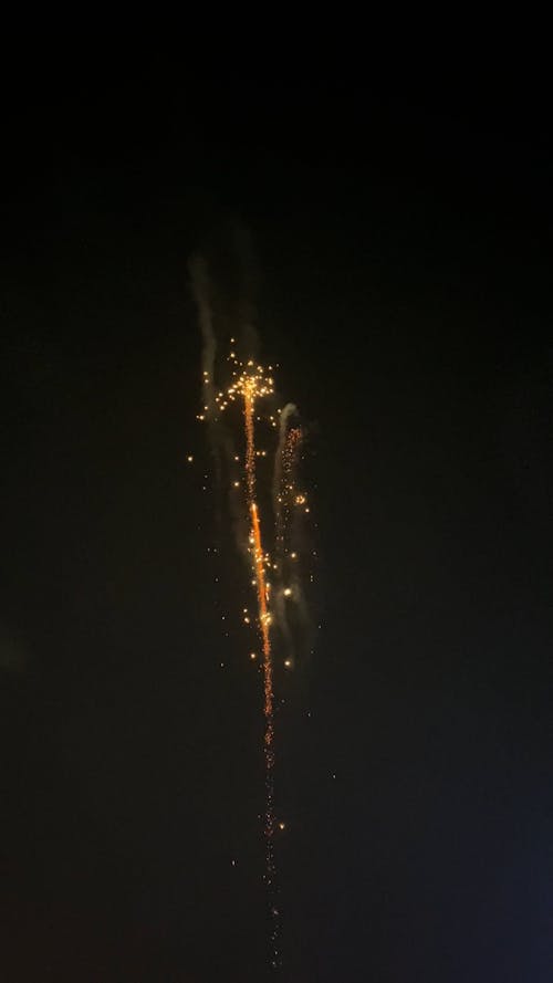 Fireworks Exploding in Sky at Night