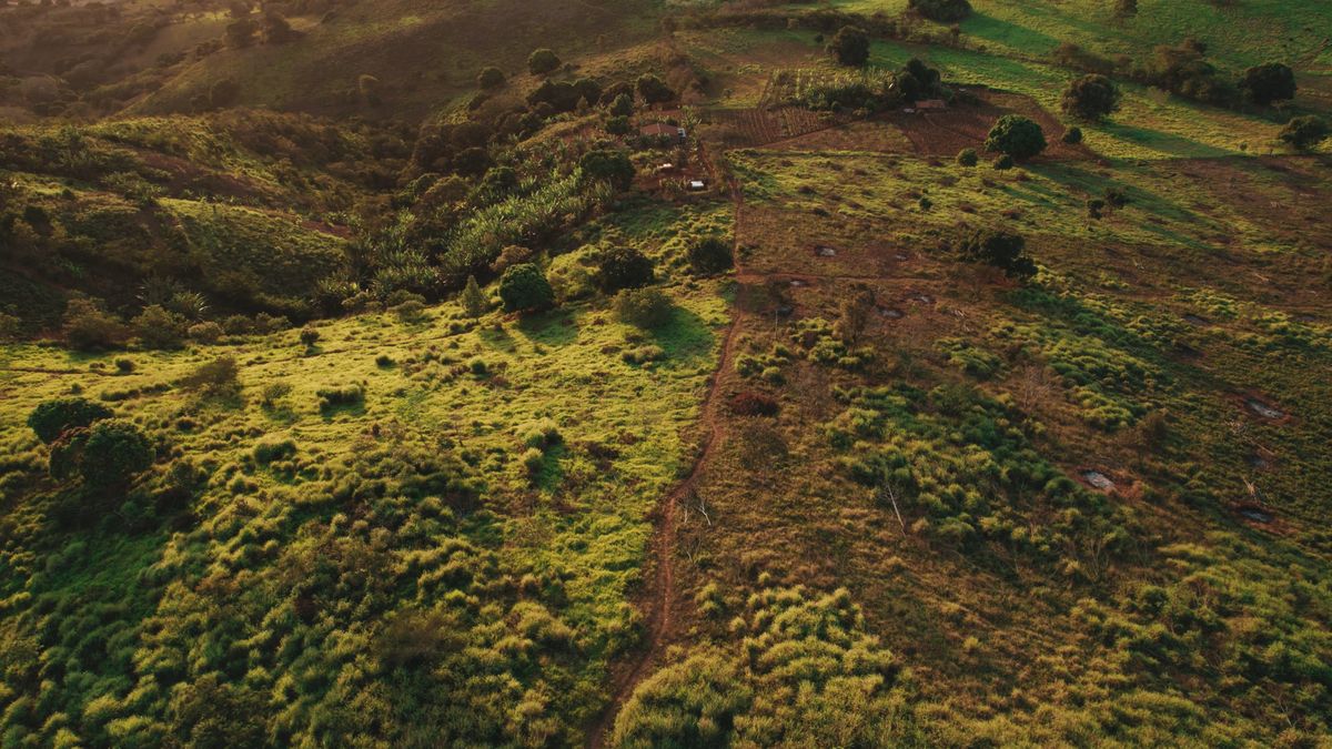 Aerial View of Lush Green Countryside Road Free Stock Video Footage ...