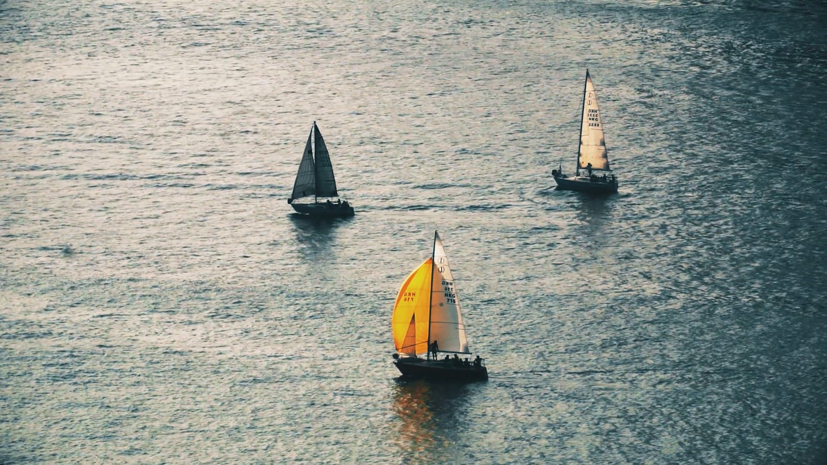 Drone Footage of Sailboats in the Water Free Stock Video Footage ...