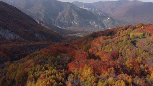 Drone Footage of Fall Foliage