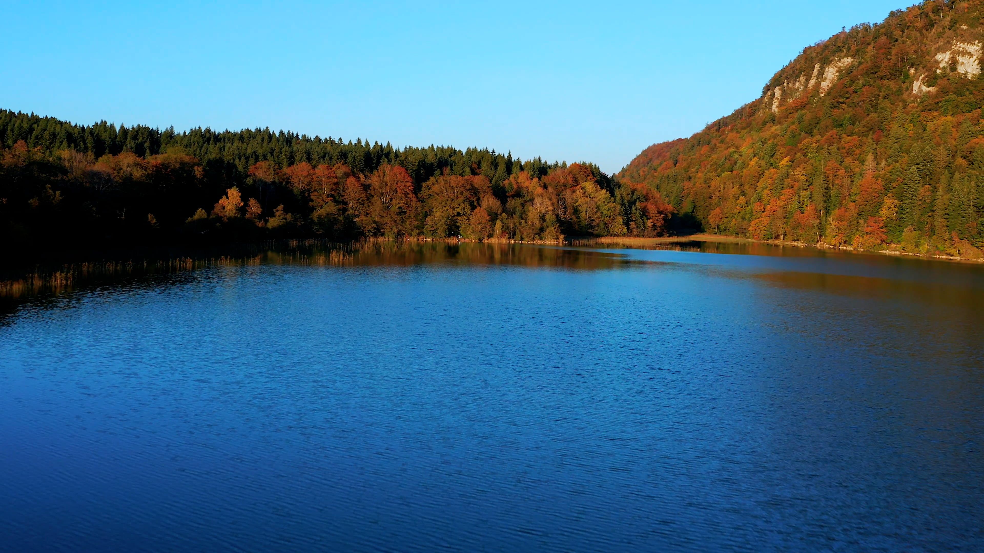 Landscape With Lake and Forest in Autumn Free Stock Video Footage ...