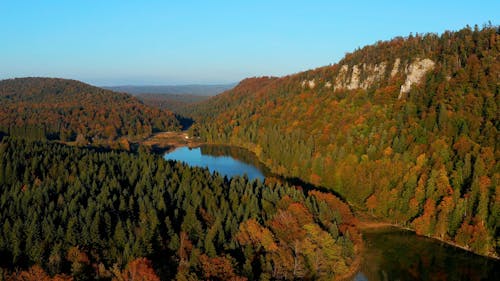 Scenery With Lake and Forest in Autumn