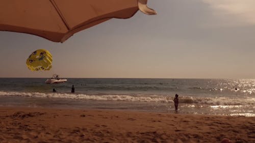 People Swimming on the Shore