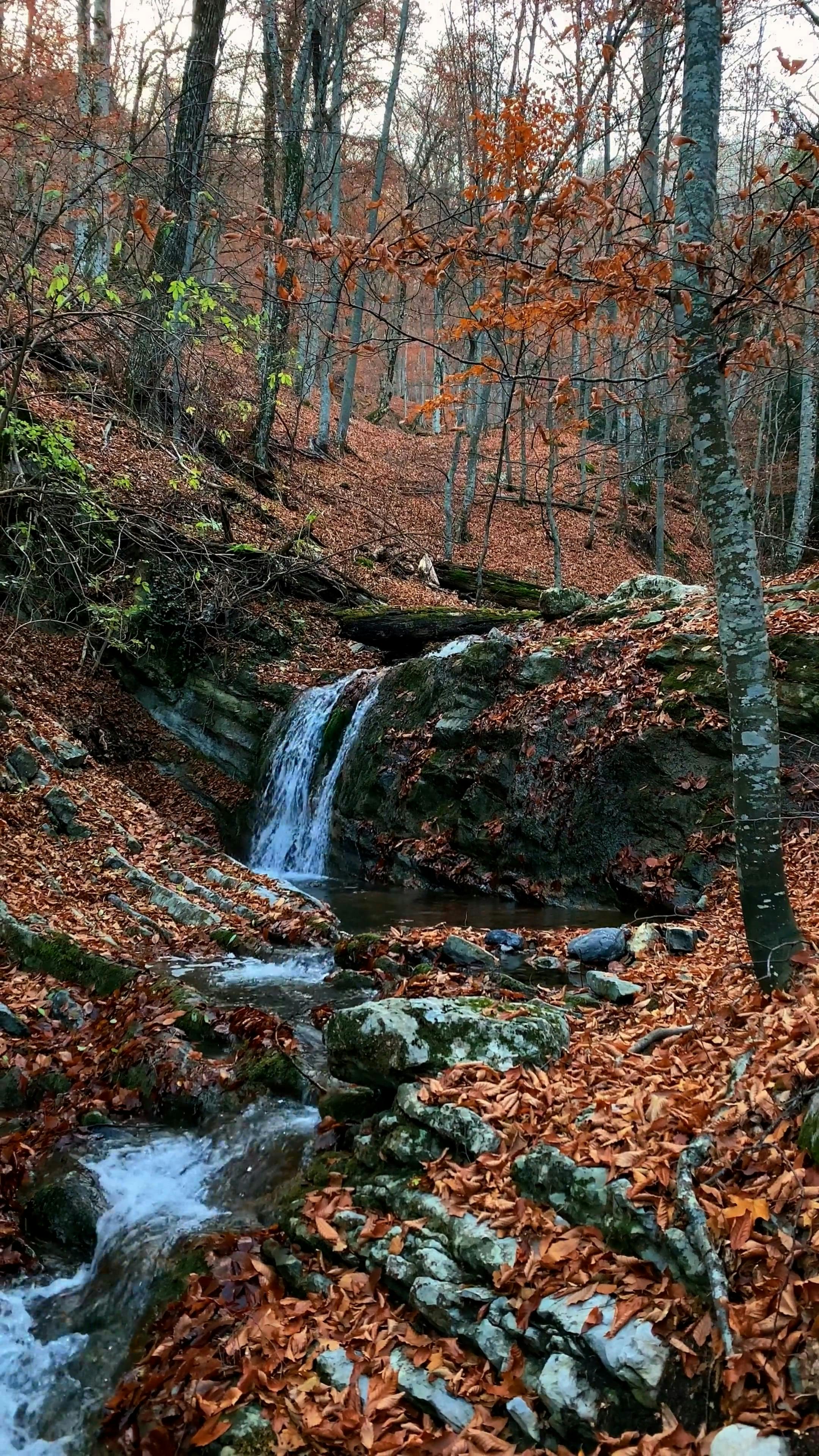 Nature Waterfalls · Free Stock Video