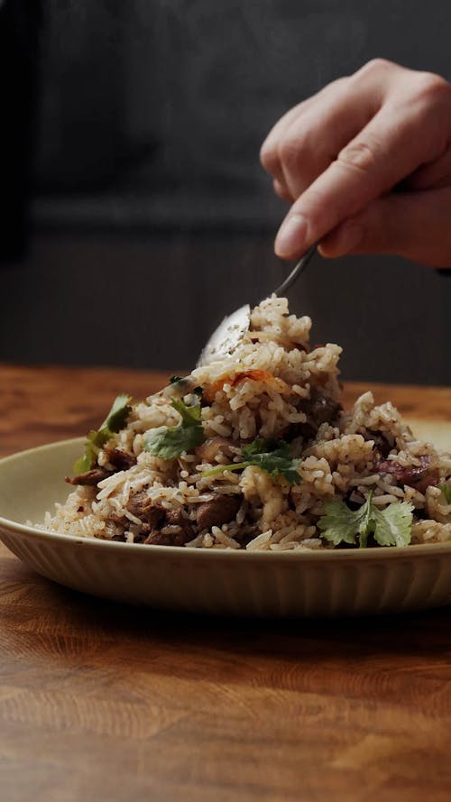 Hot Gourmet Rice Meal on Plate