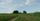 summer landscape