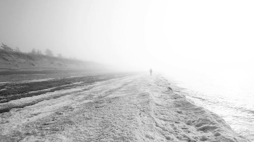 Silhouette of a Person Walking on a Foggy Beach 