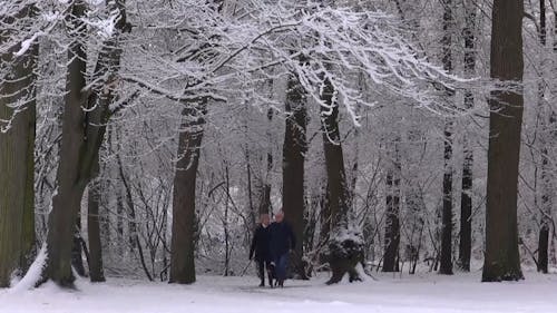 Couple with Dog in Forest in Winter