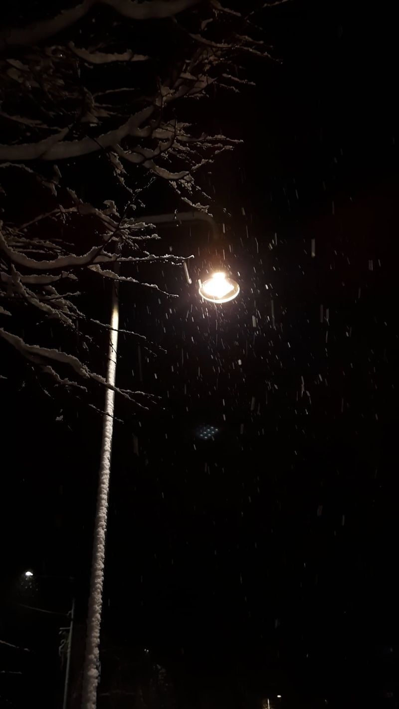 宁静郊区街道上阴雨绵绵的夜晚 · 免费素材视频