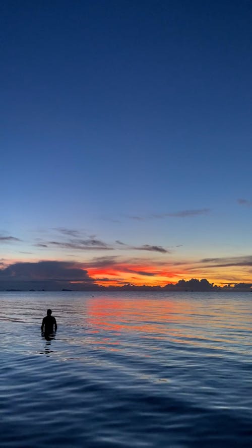 Silhouette of a Person Swimming in Beach at Sunset 