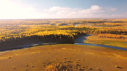 View from the Air on Plains and Forests