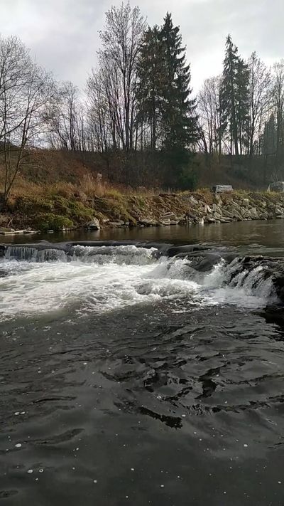 Vladyslav Kalashnyk's nature timelapse video