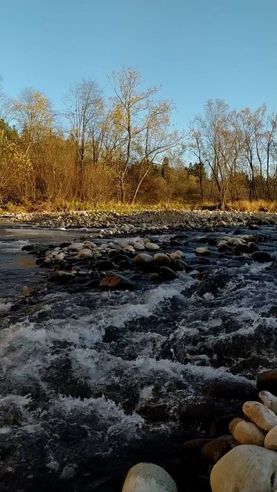 Vladyslav Kalashnyk's nature timelapse video