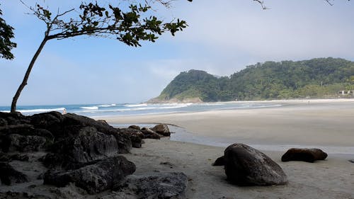 A View of a Beach