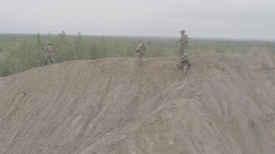 Soldiers in Camouflage Patrol Through Forest Free Stock Video Footage ...