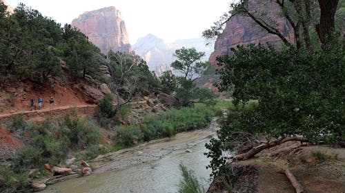 Hikers Walking alongside the Virgin River