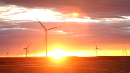 Sunrise over Wind Farm