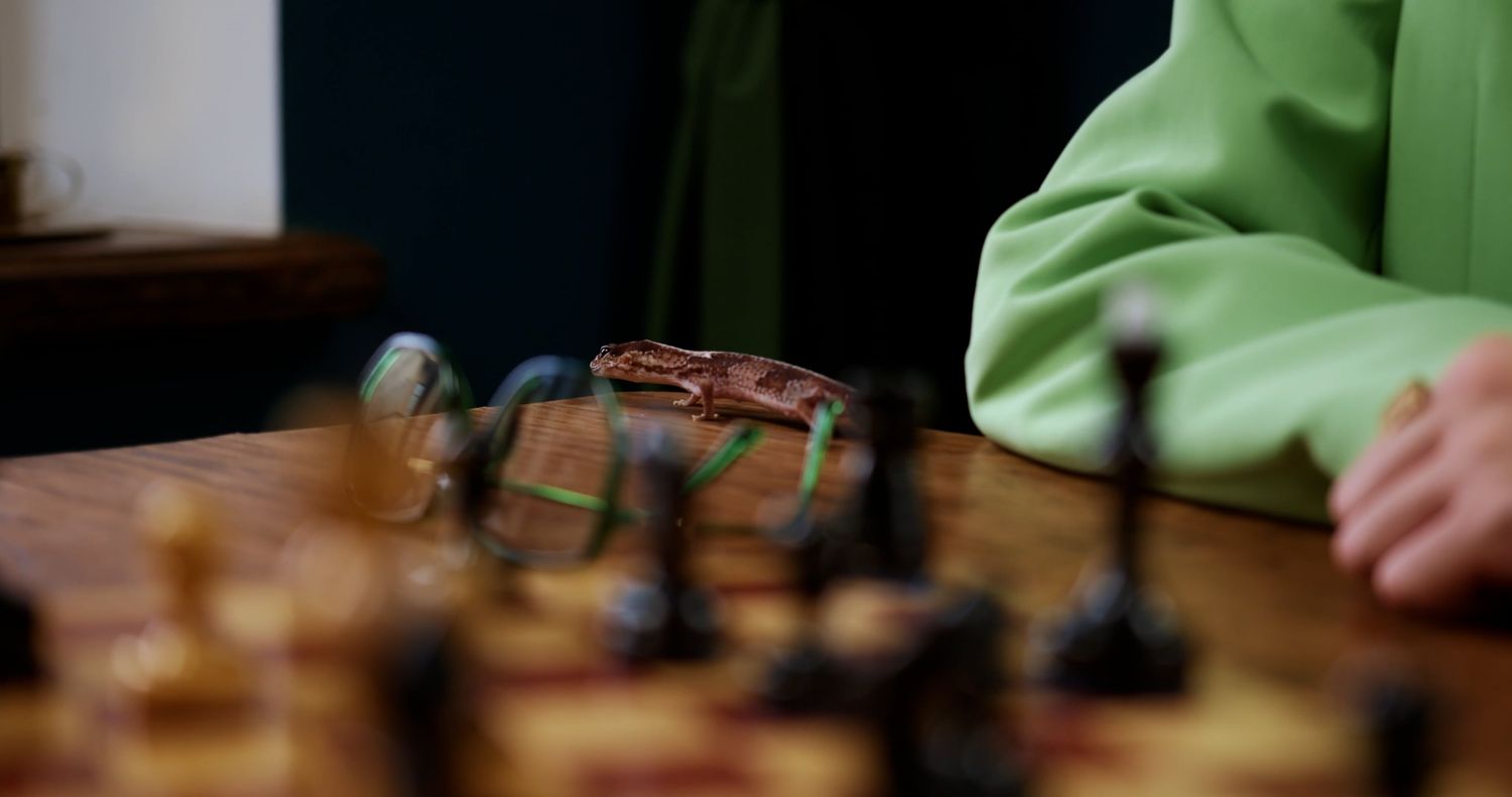 Chess Background Videos, Download The BEST Free 4k Stock Video Footage ...