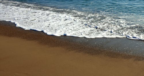 Sea Waves Reaching the Shore