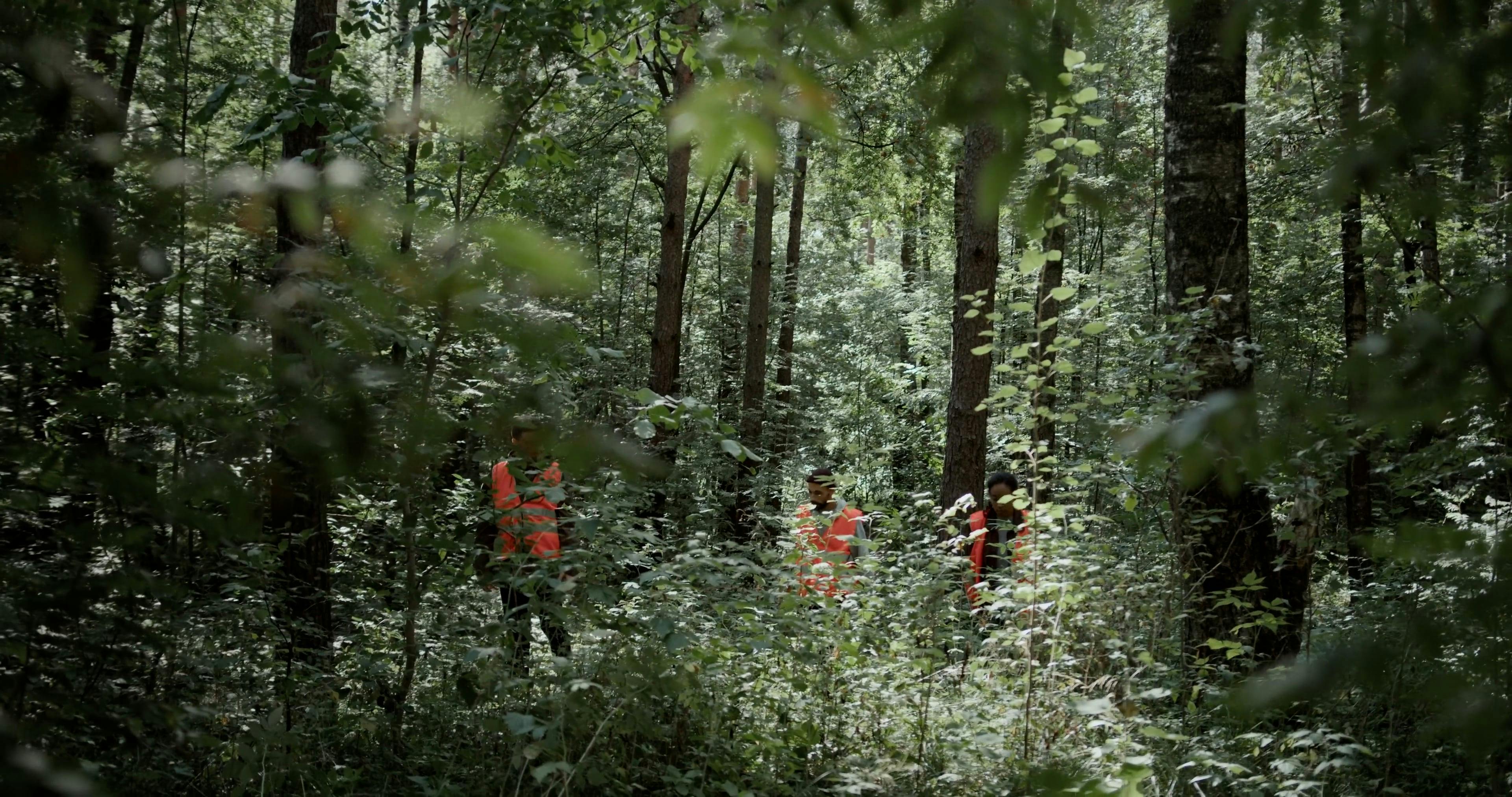 Miss Nature Videos, Download The BEST Free 4k Stock Video Footage