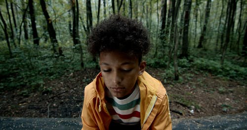 A Boy Walking in a Forest Alone · Free Stock Video