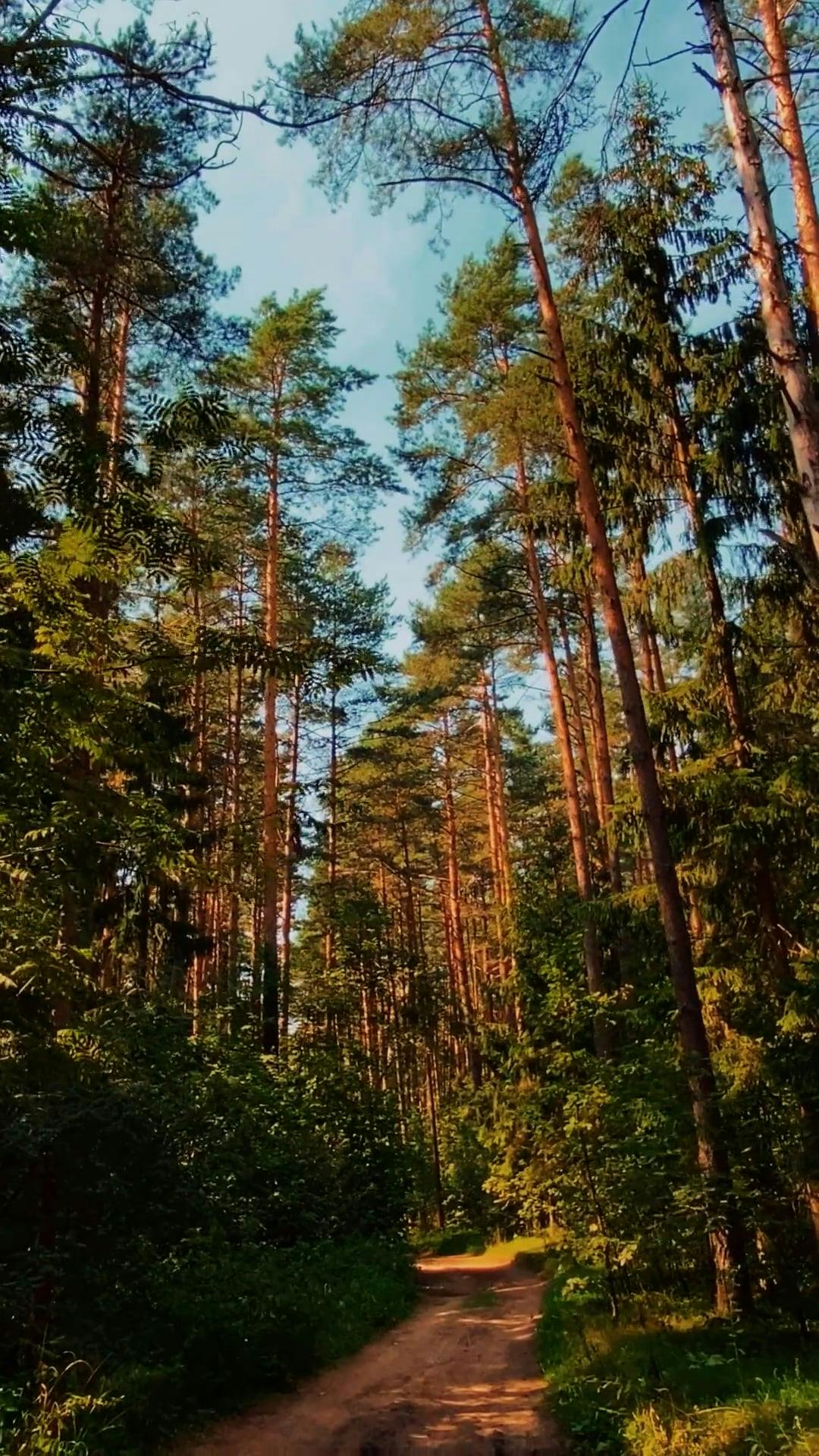 Video by Dmitry Marchenkov