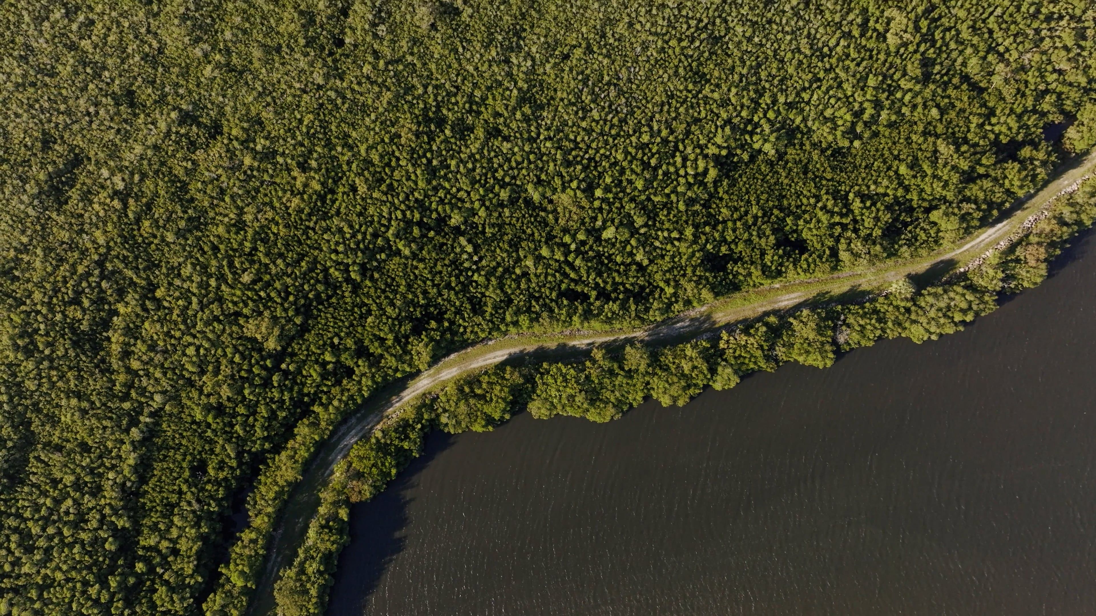 aerial view of forest 10391596 — free pexels stock footage