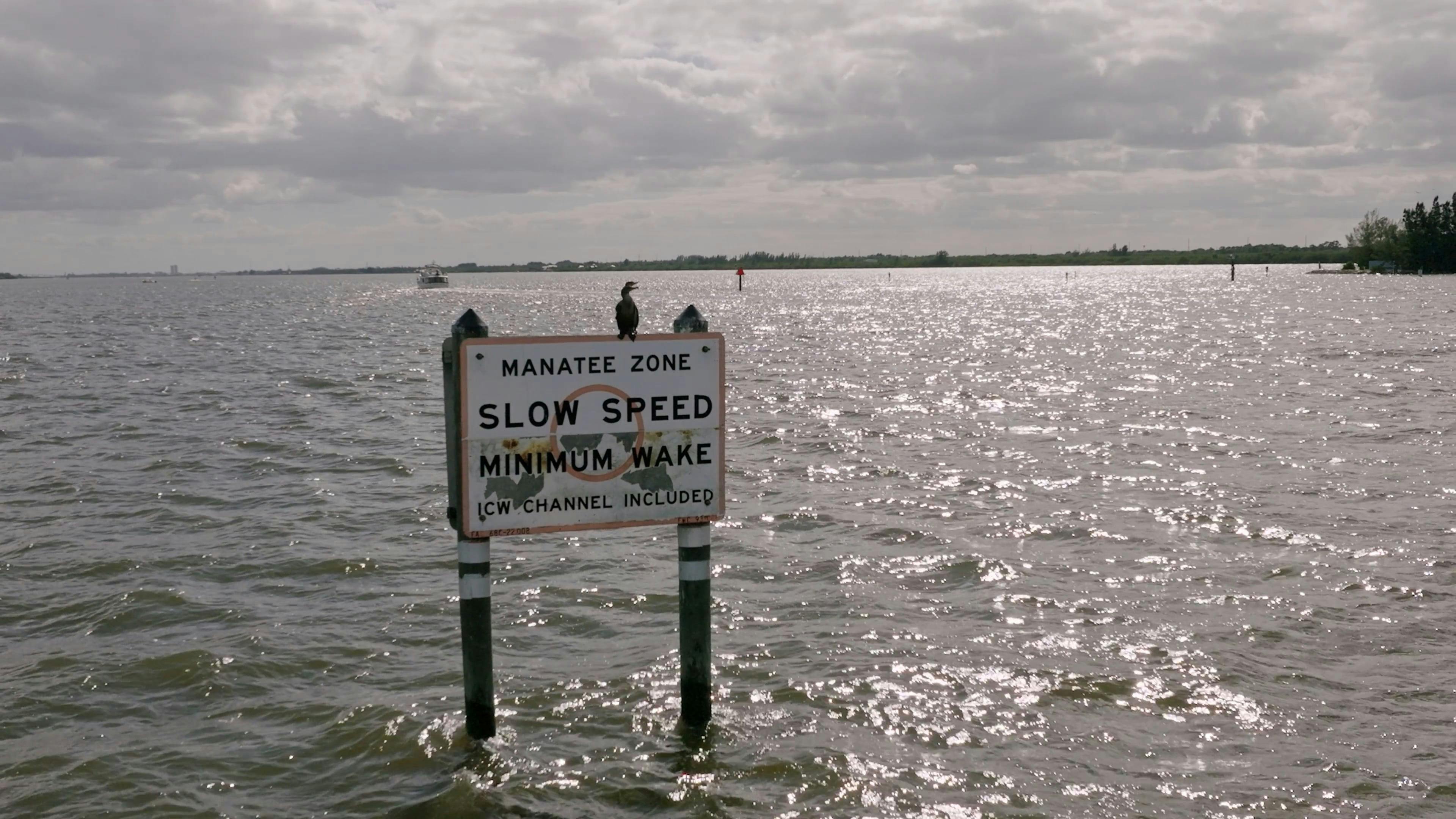 Boat Zone Videos, Download The BEST Free 4k Stock Video Footage & Boat