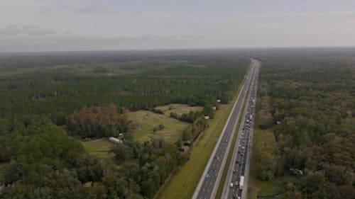 Big Road among Trees and Forest