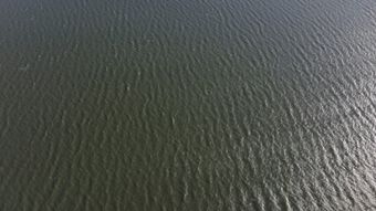 海面航拍高清视频免费下载免费下载高清视频视频素材