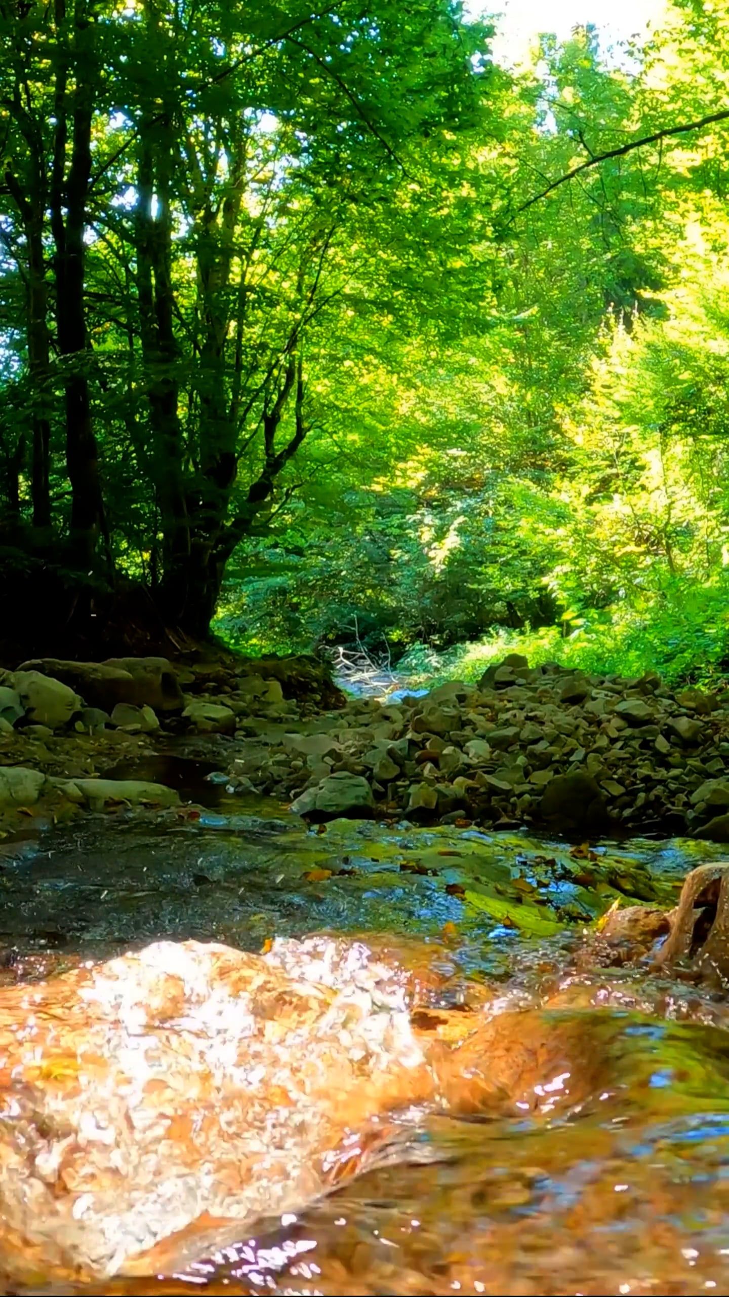 Video by I Am Sorin