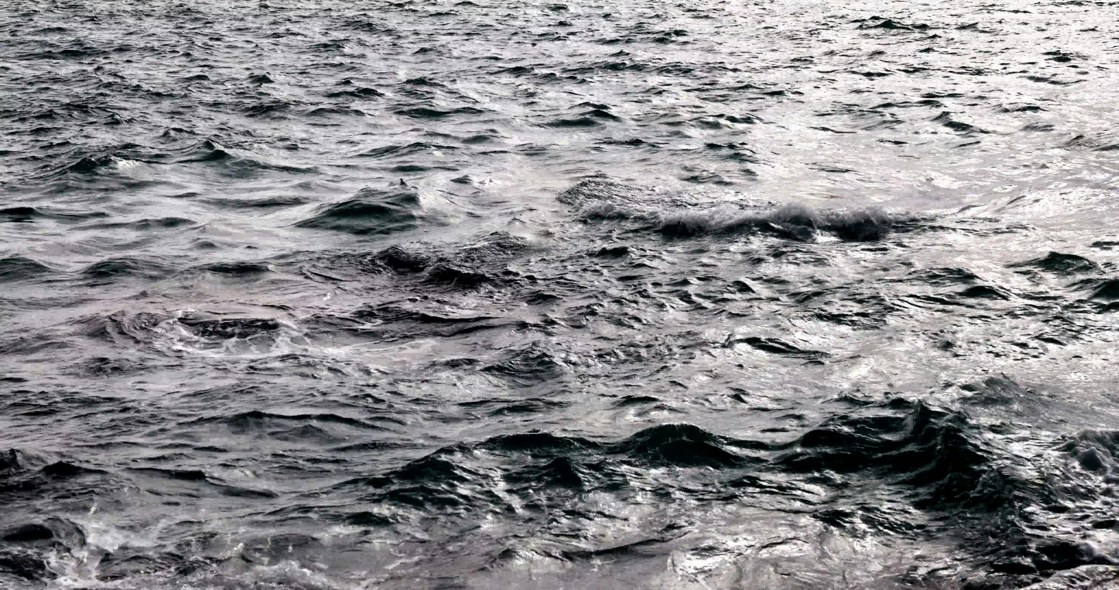 Video by Engin Akyurt