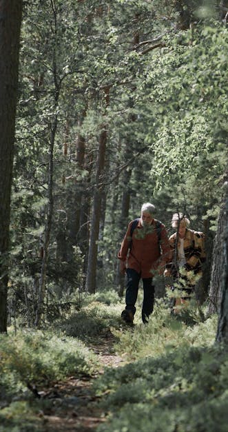 A Man Hiking in the Forest With His Grandson Free Stock Video Footage ...