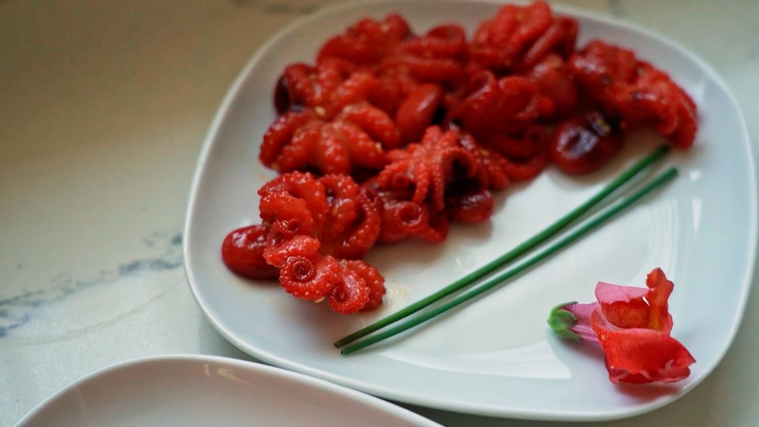 Raw Octopus Videos, Download The BEST Free 4k Stock Video Footage & Raw ...