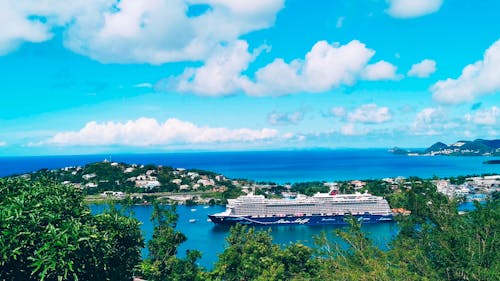 View from over Trees on Cruise Ship