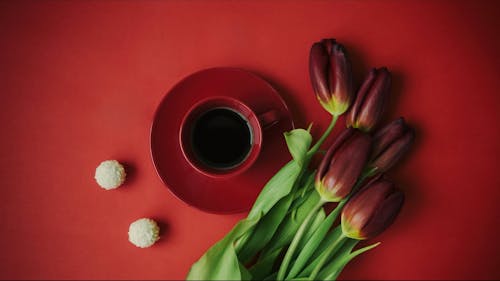 Candies Appearing and Disappearing next to Coffee and Tulips