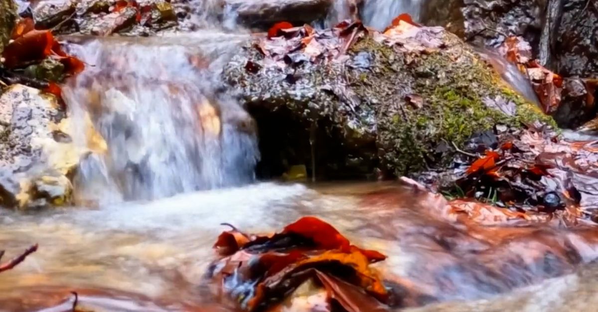 Close Up Stream Close up on Stream Free Stock Video Footage, Royalty-Free 4K & HD Video ...