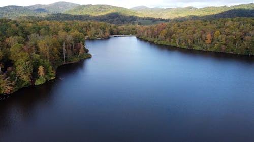 Aerial View of a Lake in a Forest 
